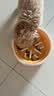 萌嘟星宠 猫碗狗碗宠物喂食器猫食盆水盆防打翻两用慢食碗 实拍图