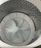 小天鹅（LittleSwan）波轮洗衣机全自动家用 10KG 直驱变频 TB10V28DT 以旧换新 京东自营 一级能效 实拍图