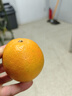 钻石牌（DIAMOND）干衣机烘干机家用小型衣柜式婴儿衣物暖风烘衣机大承重定时烘干宿舍衣柜两用风干机MX 14管带轮【30斤承重】 386L 实拍图