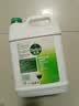 滴露（Dettol）消毒液5L大桶装消毒水家用商用工业车间酒店物业衣物环境消毒杀菌 实拍图
