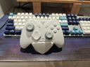 飞智冰原狼4多模版无线游戏手柄 类xbox 力调节摇杆双切扳机 switch电脑PC手机steam体感NS 仁王3 实拍图