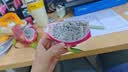 DOLE都乐比利时啤梨3粒420g 实拍图