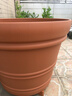 爱丽思（IRIS）特大号圆形花盆种树庭院超大加厚大盆景树木无花果蓝莓果树种植盆 12号茶色 约17L (口径35.8cm) 实拍图