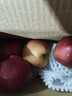 2025年现摘现发甘肃天水花牛苹果新鲜红蛇果粉面生鲜脆甜多汁A14 带箱1斤净重0.7斤  果径65-70mm 实拍图