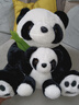 熊猫熊大熊猫毛绒玩具玩偶娃娃公仔生日礼物送女生同学抱枕仿真布偶摆件 实拍图