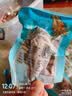 舸渡满籽鱿鱼仔500g即食墨鱼仔海鲜丝解馋零食小吃休闲熟食品带籽Q弹 原味250克【125克送125克】 实拍图