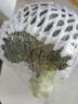 西兰花约500g 实拍图