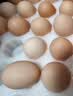 京鲜生【真散养】供港非笼养可生食鸡蛋30枚3.18斤 源头直发 实拍图
