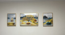 Sixpoetry 客厅装饰画现代简约沙发背景墙壁画轻奢三联晶瓷画大气高档挂画 福禄纳财（铝合金外框） 晶瓷画左右35*50+中间70*50亮面 实拍图