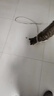 虎头铃铛虎口纯铜响铃铛宠物猫狗项圈挂件吊坠手工装饰品配件材料 虎头铜铃铛【2cm】3个+1根红绳 实拍图