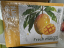 京鲜生  海南金煌芒果 5斤礼盒装 单果约400g 新鲜水果 实拍图