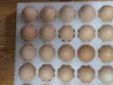 京鲜生【供港品质】【每日鲜蛋】无抗谷物鸡蛋30枚3.78斤当日产蛋当日发 实拍图