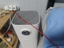 美的（Midea）【母婴级】空气净化器鼻炎家用除甲醛除烟味异味过敏原花粉空气净化机森林家L1 Lite 实拍图