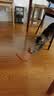 【京东快递】猫咪玩具自嗨解闷智能逗猫球自动逗猫遛猫遛狗突突球 奢华版【带绳款宠物球】 实拍图