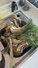 辰实 【现货】藠头新鲜 藠头现挖茭头藠头 时令蔬菜新荞头带叶 5斤（净藠头）大号 实拍图