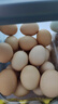京鲜生 无抗保洁鲜鸡蛋30枚/盒 健康轻食 礼盒送礼 1.5kg/盒 源头直发 实拍图