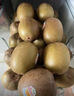 佳沛（zespri）新西兰 新果季 阳光金奇异果10粒巨大果单果146-175g 猕猴桃 实拍图