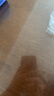 童泰婴儿连体衣春秋季新生儿衣服纯棉初生儿宝宝蝴蝶衣2件装 粉色66cm 实拍图