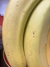 佳农 进口大把香蕉净重2.4斤 家庭装 生鲜水果 源头直发 包邮 实拍图
