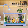 阔庭（KUOTING）鱼缸水族箱生态桌面鱼缸新款懒人鱼缸生态造景过滤制氧一体机蓝色 实拍图