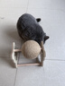 HELLOJOY逗猫咪玩具自嗨解闷猫抓板幼猫爪板小猫抓球耐抓不掉屑耐磨猫爬架 晒单实拍图