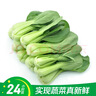 【24小时鲜】油菜苗250g(长度≤17cm) 实拍图