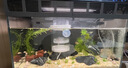 米家小米米家智能生态鱼缸还原自然生态补仓一次三月无忧出差旅行必备 实拍图