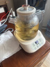 好夫人（WIFER）德国养生壶全玻璃烧水壶办公室迷你煮茶器炖煮一体煮茶壶家用花茶壶小型恒温壶0胶水养身电热水壶 店长推荐丨含茶漏丨 1.2L 智能保温 实拍图