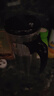 金灶（KAMJOVE）耐热玻璃泡茶壶弹压式过滤飘逸杯茶水分离泡茶器茶道杯茶水壶茶具 【一键滤茶】TP-200茶壶 1000ml 实拍图
