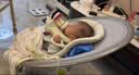 babycare婴儿电动摇椅0-1岁宝宝安抚摇篮椅哄娃睡觉神器新生儿礼物 基础款 实拍图