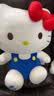 维尼小象正版HelloKitty凯蒂猫公仔毛绒kt猫玩偶六一儿童节礼物生日礼物 实拍图