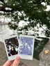 INSTAX富士instax立拍立得 mini相纸 白边双包20张(适用miniSE/11/12/40/90/LiPlay/EVO/Link3) 实拍图