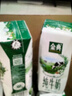 伊利【新鲜日期】金典纯牛奶早餐奶250ml*16 3.6g乳蛋白 礼盒装 2-3月 实拍图