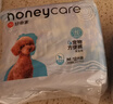 HONEYCARE好命家 狗狗纸尿裤公狗尿不湿生理裤M适用体重8-15kg/12片装 实拍图