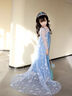 迪牧欧女童冰雪奇缘爱莎公主裙子春装儿童生日礼服艾莎原版拖尾连衣裙子 蓝色长裙 150 实拍图