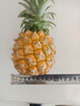 广东徐闻香水菠萝新鲜水果生鲜热带孕妇水果整箱包邮 1个装 单果1.3-1.5斤 实拍图