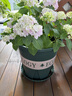 九千谷花盆加仑盆 园艺种植家用塑料花盆兰花盆带托盘24*24cm3个装5082 实拍图