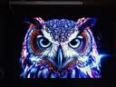 AOC 爱攻7 31.5英寸WOLED 4K 165Hz双模330Hz 0.03ms 10bit 低蓝光 16W音箱 游戏电竞显示器AG327UD 实拍图