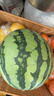 京鲜生 麒麟无籽西瓜 1粒装 净重5-7斤 生鲜水果 实拍图