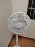 格力（GREE）【花精灵Se版】一级能效直流变频轻音节能遥控电风扇卧室落地扇静音家用风扇柔风桌面电扇 实拍图