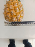 广东徐闻香水菠萝新鲜水果生鲜热带孕妇水果整箱包邮 1个装 单果1.3-1.5斤 实拍图