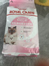 皇家幼猫奶糕 幼猫猫粮 BK34 通用粮 1-4月 2KG 实拍图