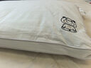 京东京造 檀香荞荞枕 大凉山舒适养生经典花草枕荞麦枕头枕型 单只装 实拍图