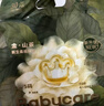 babycare新妈体验组合 金山茶纸尿裤S码3片+湿巾36抽+洗衣液500ml 实拍图