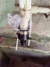 九千谷水管接头 水龙头连接水枪浇花家用园林水管多功能奶嘴接头J0772 实拍图