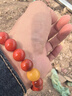 青城山 南红手串凉山瓦西料满肉柿子红玛瑙手链男女款情侣生日七夕礼物 18k金平安环南红手串10mm+已过香 实拍图