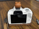佳能（Canon）r50微单相机 4K数码高清摄影旅游vlog视频学生美颜 R50入门级直播相机小巧便携 R50白色套机+50mm小痰盂人像双镜头 套餐一【128G内存卡~摄影包+卡通礼+备用电池】 实拍图