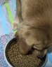 疯狂小狗狗粮金毛拉布拉多萨摩耶边牧 宠物中大型幼犬成犬20kg40斤牛肉味 肉粒双拼|香菇牛肉20kg 实拍图