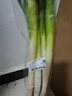 【农户直通车】大葱约500g 实拍图