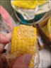 糖尿人吃的零食血糖高熟玉米段老人孕妇糖友控糖饱腹代餐水果玉米 真空即食甜玉米2斤【约9-11个】水果甜玉米段 实拍图
